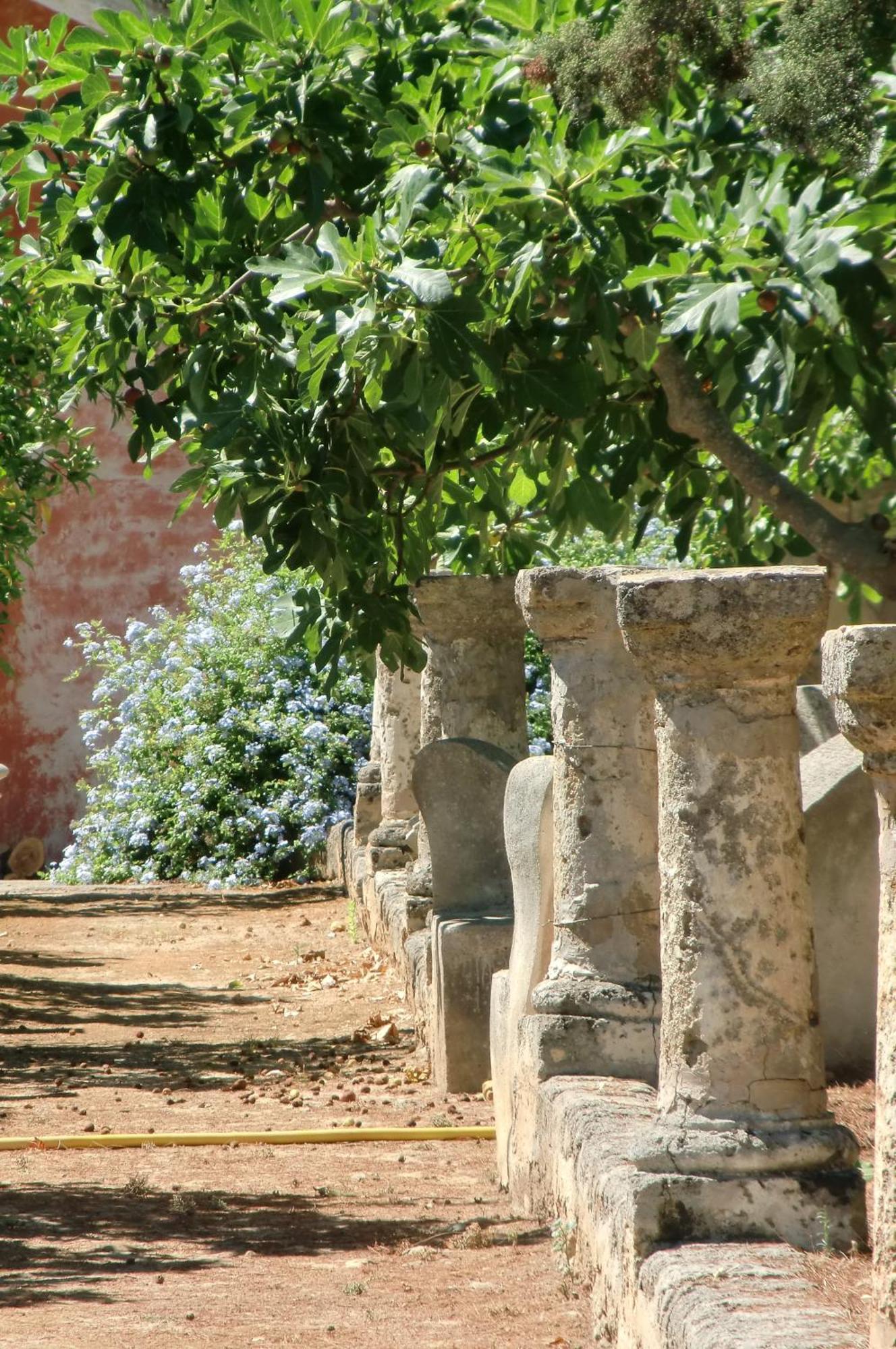 Palazzo Leuzzi B&B Galatone Εξωτερικό φωτογραφία